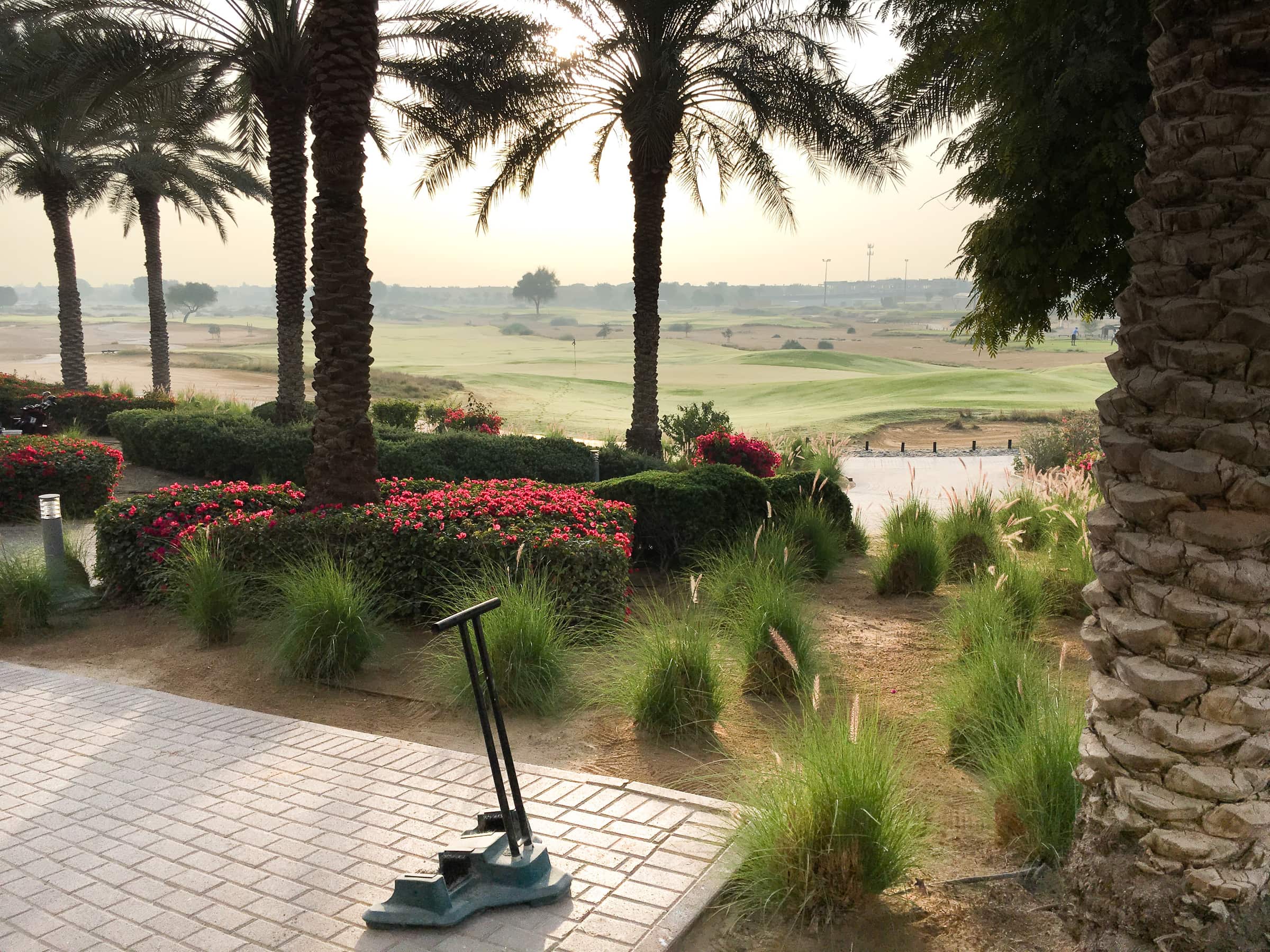 Palm shaded garden overlooking the Arabian Ranches golf course in Dubai